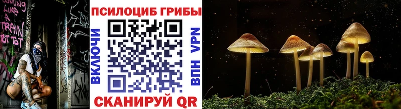 Галлюциногенные грибы Magic Shrooms  Лахденпохья 